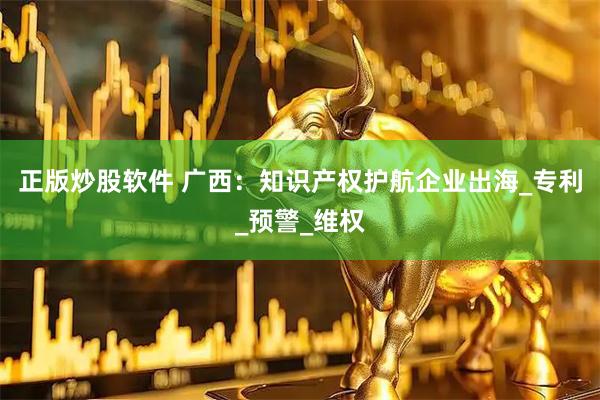 正版炒股软件 广西：知识产权护航企业出海_专利_预警_维权