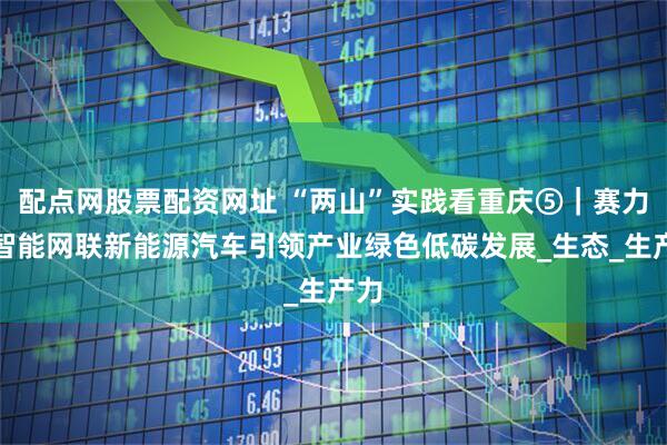 配点网股票配资网址 “两山”实践看重庆⑤｜赛力斯智能网联新能源汽车引领产业绿色低碳发展_生态_生产力