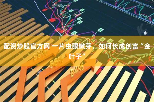 配资炒股官方网 一片虫眼嫩芽，如何长成创富“金叶子”